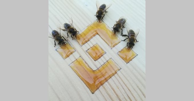 Обзор Binance, 37-й месяц: крипторост DeFi