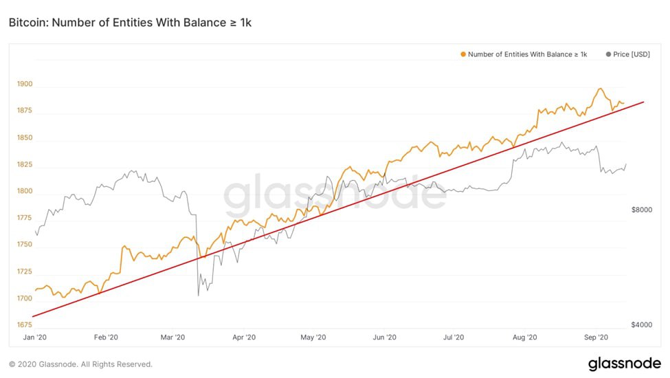 Почему альткоины теряют в цене, когда Биткоин устанавливает новые максимумы?