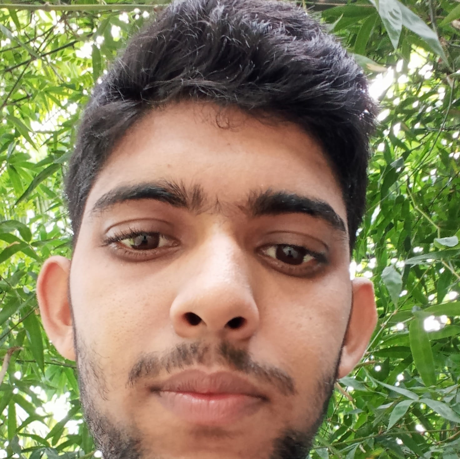 SF RIFAT 's Profile | Binance Square