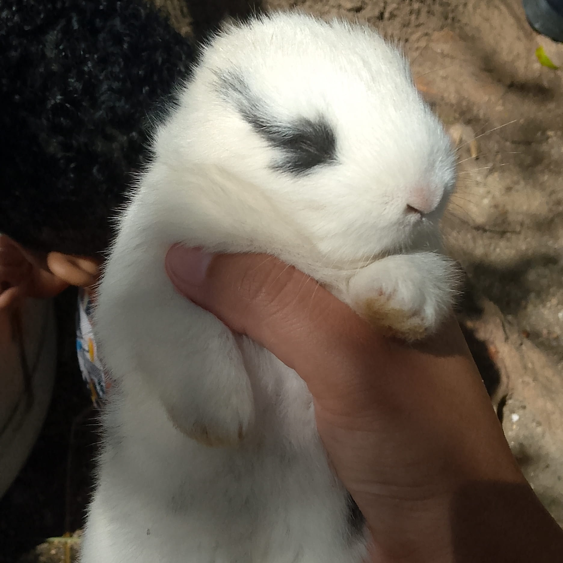 How 10x, 75x, and 125x Leverage Can Supercharge Your Profits—and Risks—in  Trading | Crypto Alpha on Binance Square