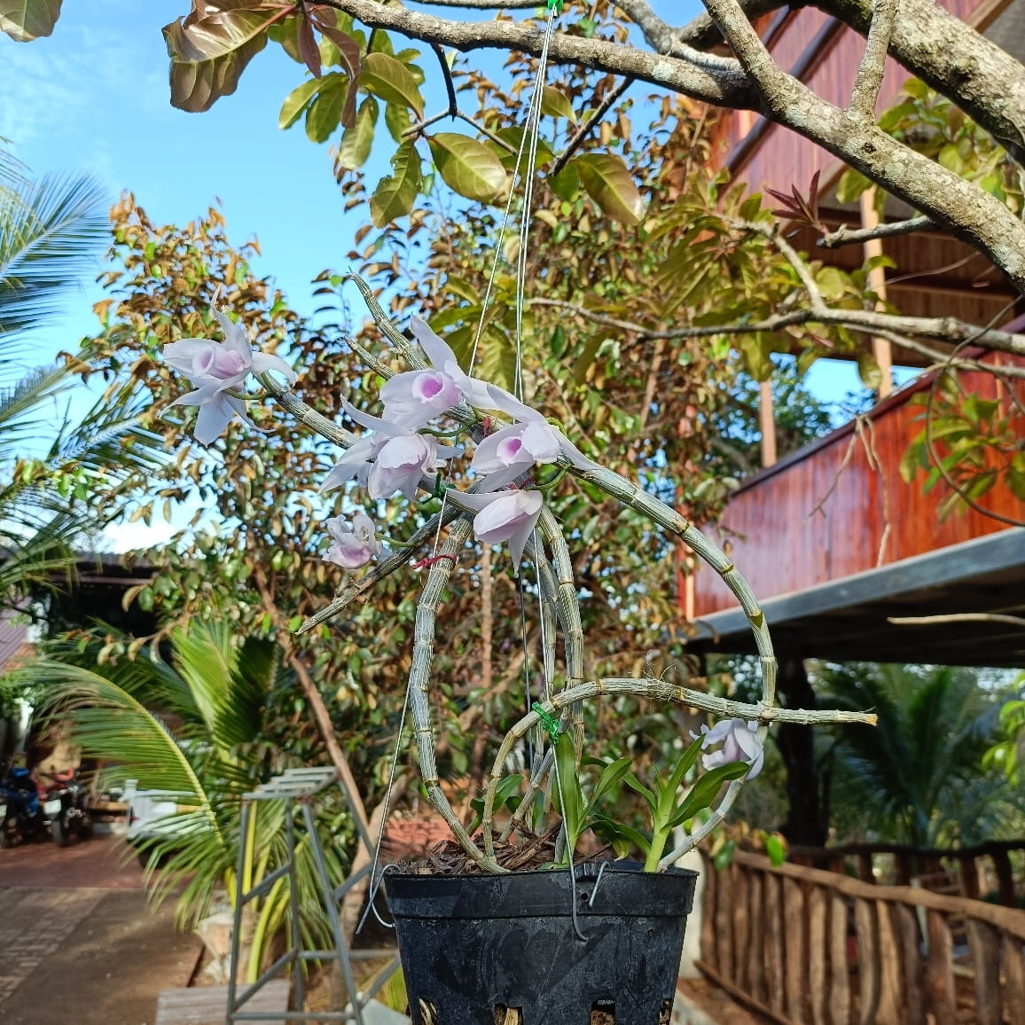 Evaluating Minotaurus (MTAUR): Potential, Risks, and Market Outlook |  Krystyna Lintz on Binance Square