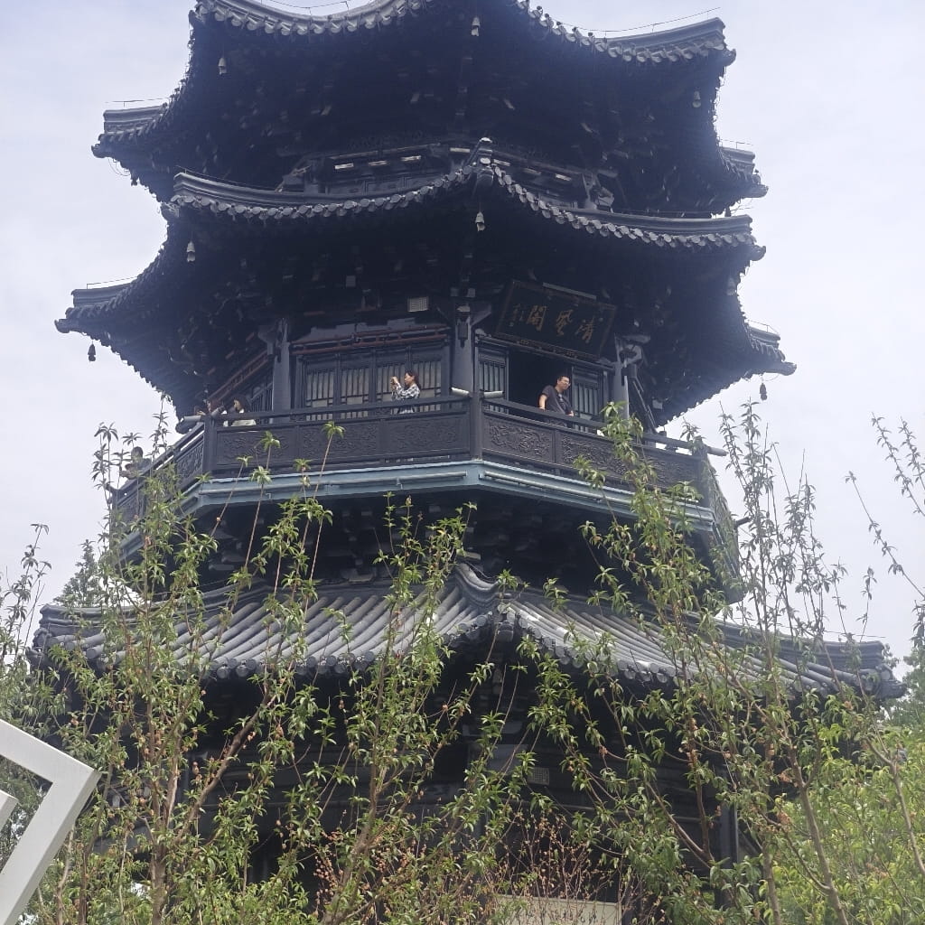 孙哥的$TRX 如何自动赚钱？教程来了| 目标5个w发布于币安广场