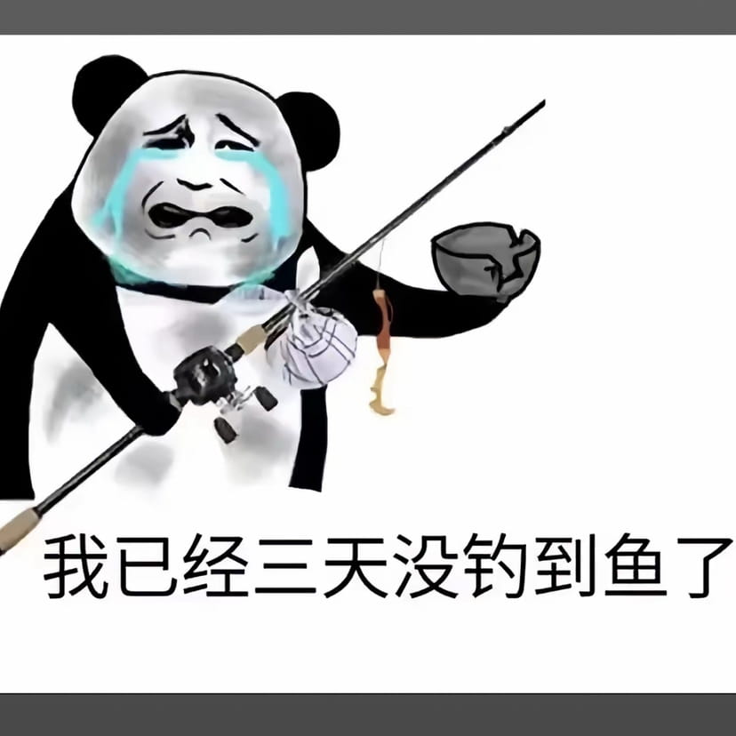 打龟佬的个人资料 | 币安广场