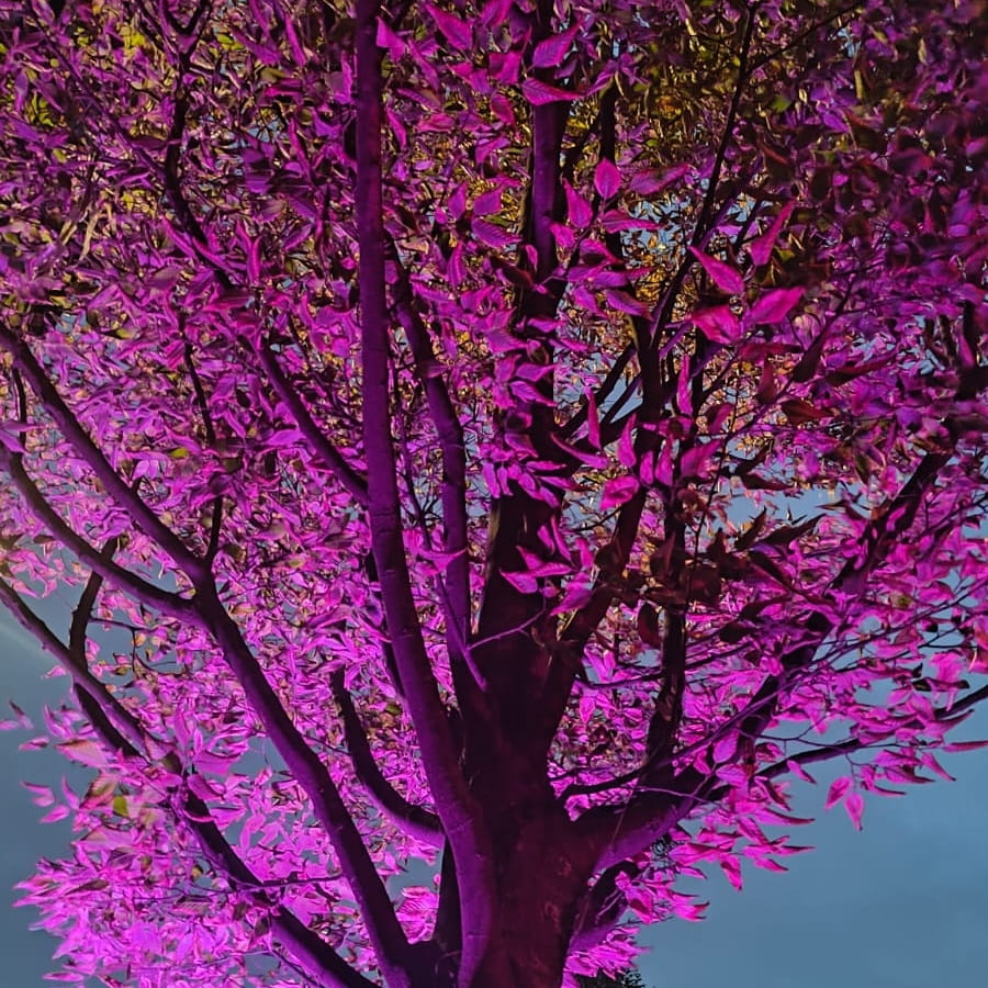 Saylor Finally Breaks Silence Amid Devastating Bitcoin Price Crash |  U.today on Binance Square