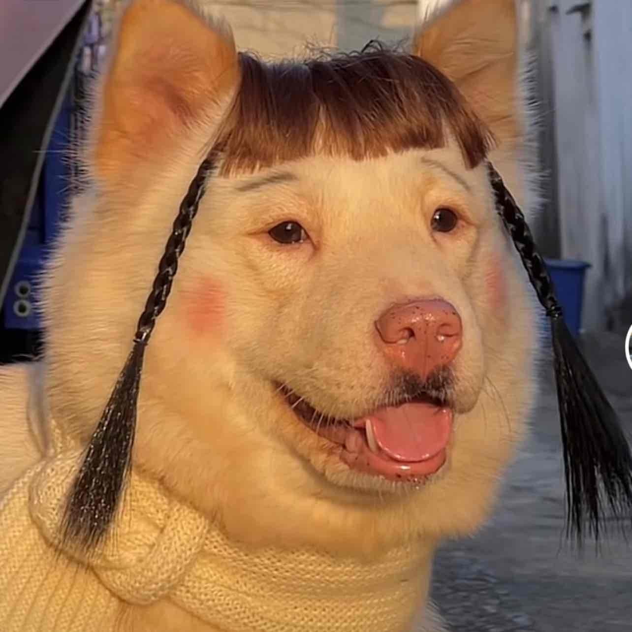 Scottie Pippen claims he met Satoshi Nakamoto in 1993 and predicted Bitcoin  prices | Binance News on Binance Square