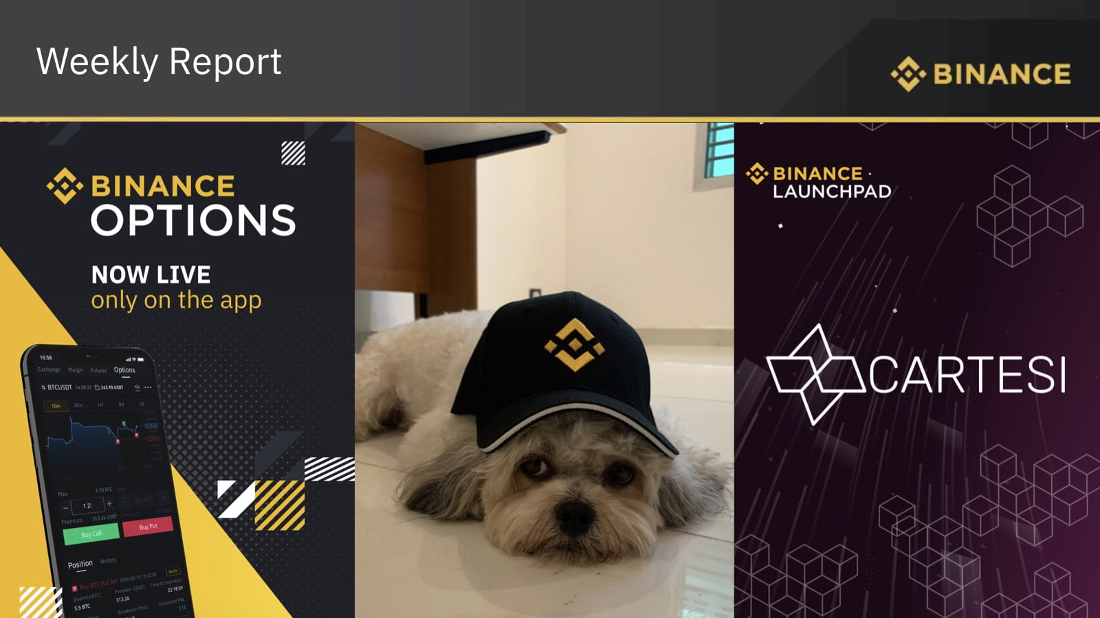 More Options | Binance Blog
