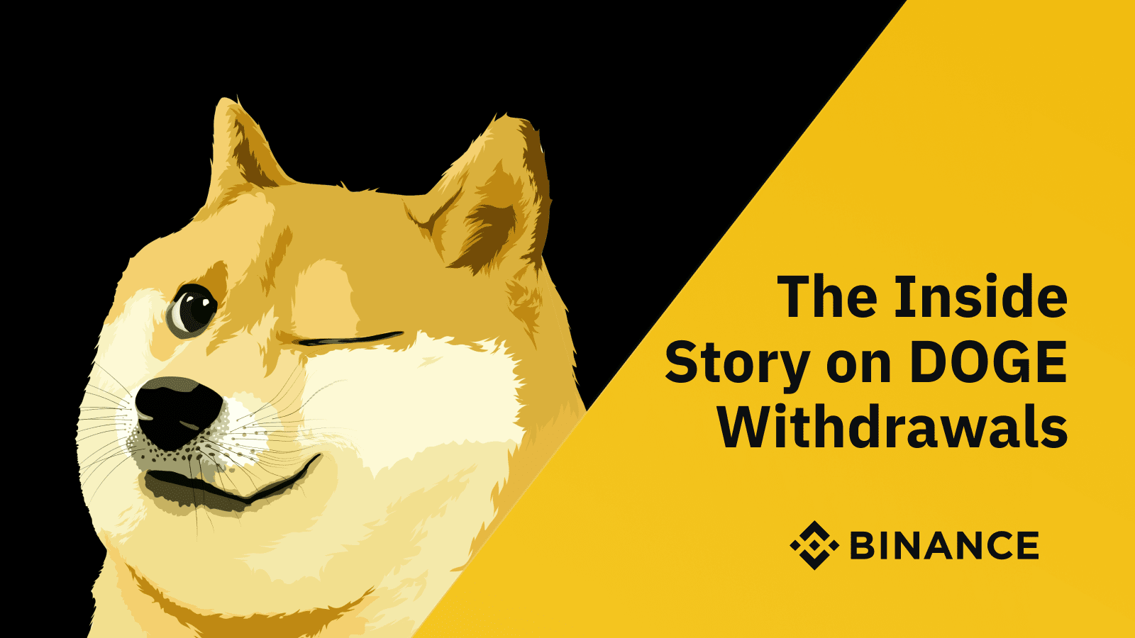 Blog - O Wypłatach Doge od Środka