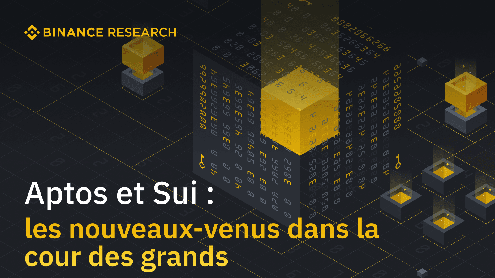 les nouveaux-venus dans la cour des grands » | Blog Binance