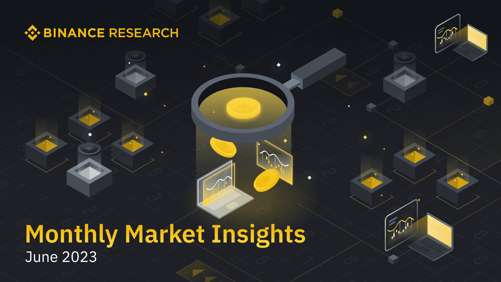 Insight 2025