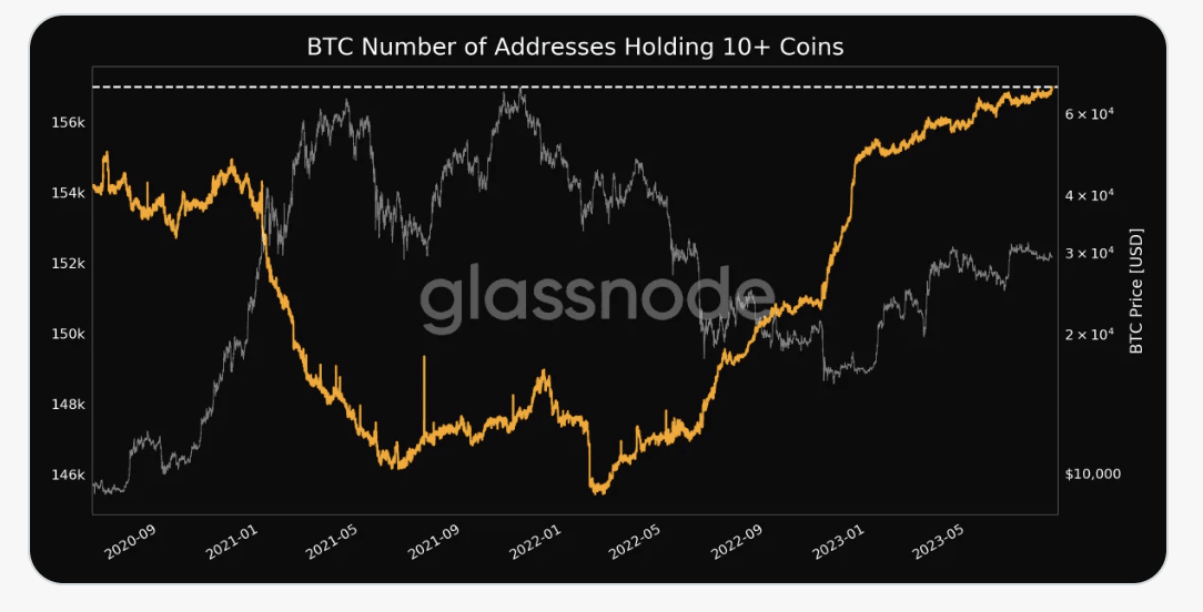 Bitcoin Addresses Holding 10+ Coins Achieve 3-Year High | Binance News ...