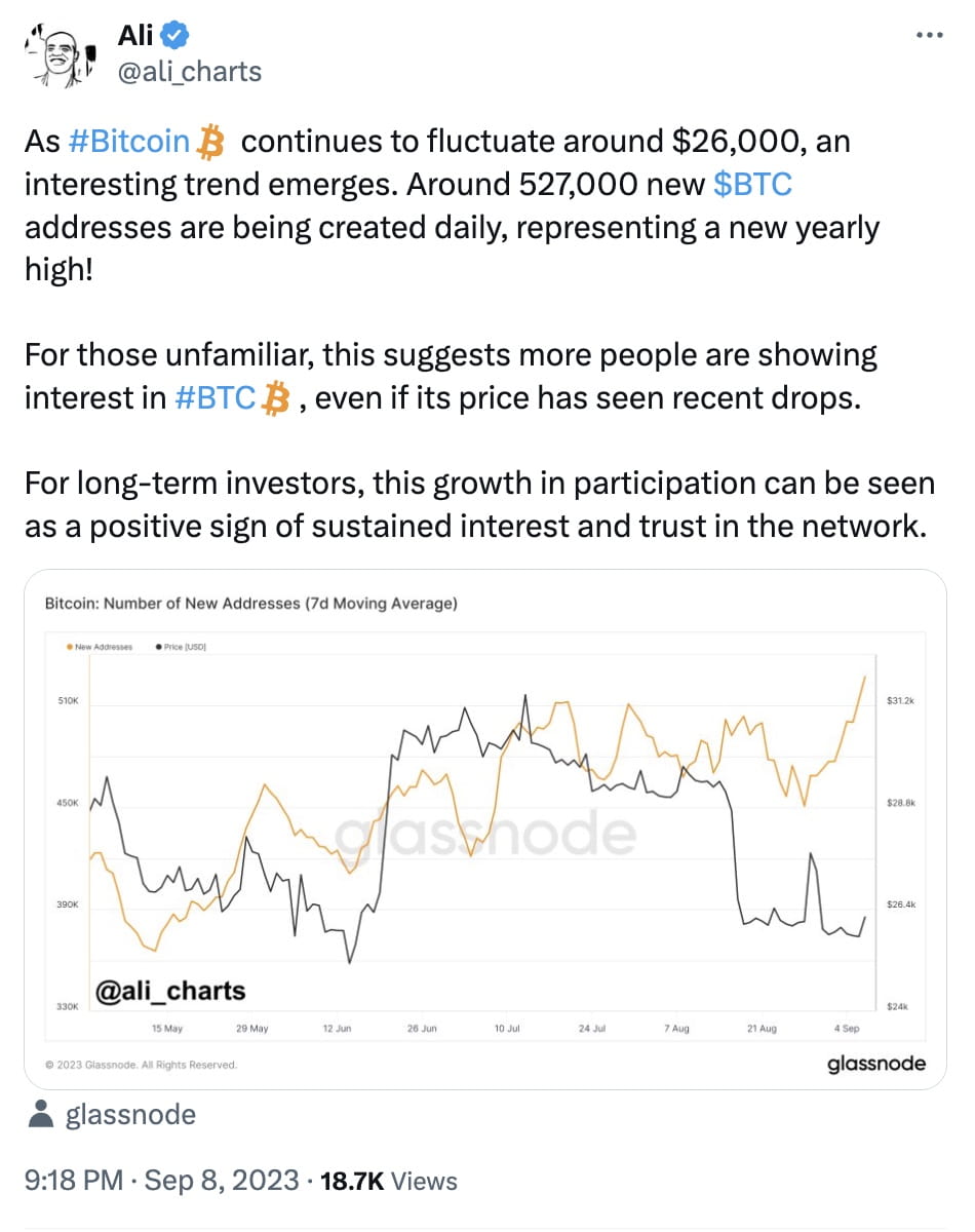 Bitcoin Sees Record Daily Creation of New Addresses Despite Price  Fluctuations | Binance News on Binance Square