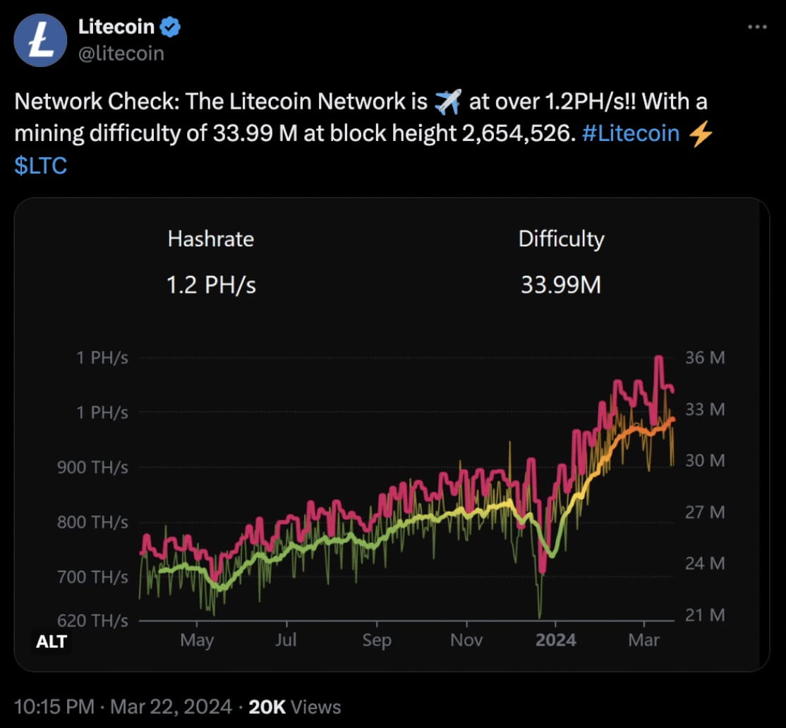 Litecoin network (87) foto