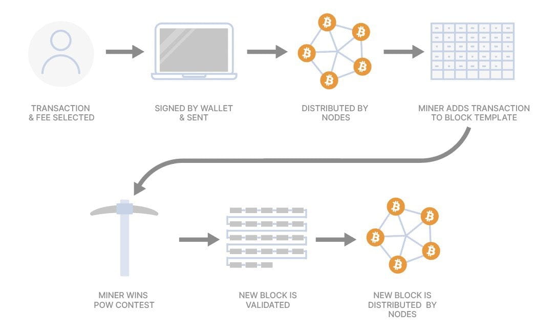 Первая транзакция биткоин lightning. How bitcoin works. как работает биткоин. биткоин инфографика. новостные агрегаторы.