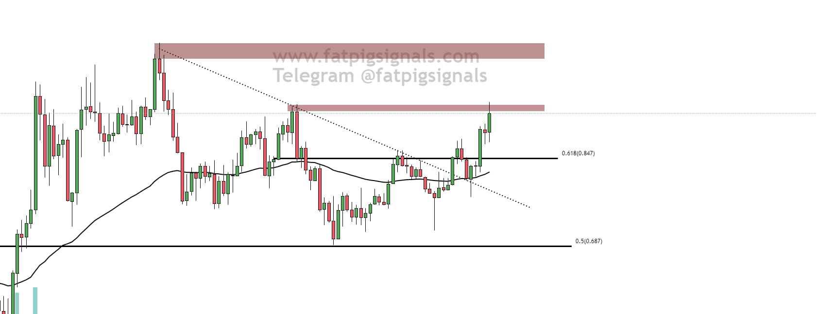 Hit Matic #MATIC #POLYGON First trouble area hit 🎯 😎 We can | Fat Pig Signals on ...