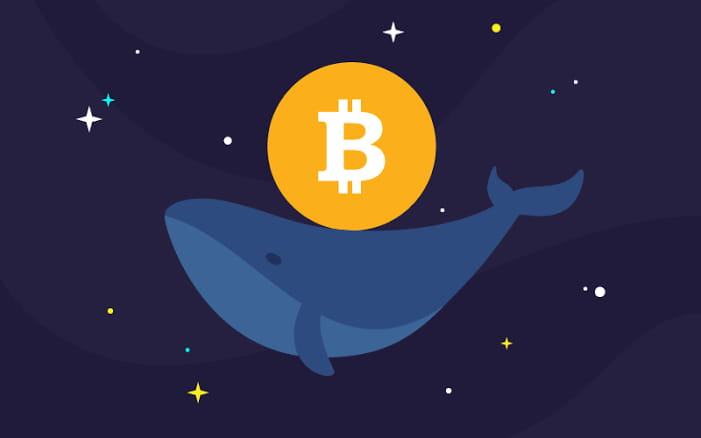Bitcoin accumulation strong among fishes Notably, there has ...