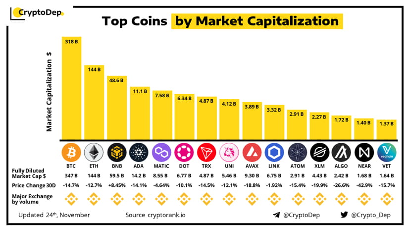 Top Coins by Market #Capitalization 24 November 2022 #Bitc | CaptainBnB ...