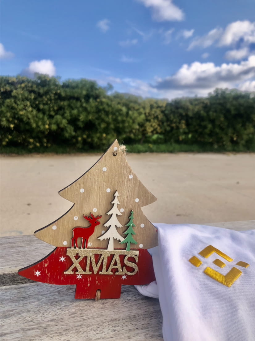 When Christmas is loading I think of Binance Swag even more