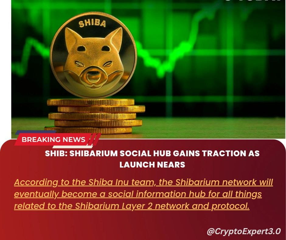 CryptoExpert On Binance Feed SHIB Shibarium Social Hub Gains Traction cryptoexpert-on-binance-feed-shib-shibarium-social-hub-gains-traction