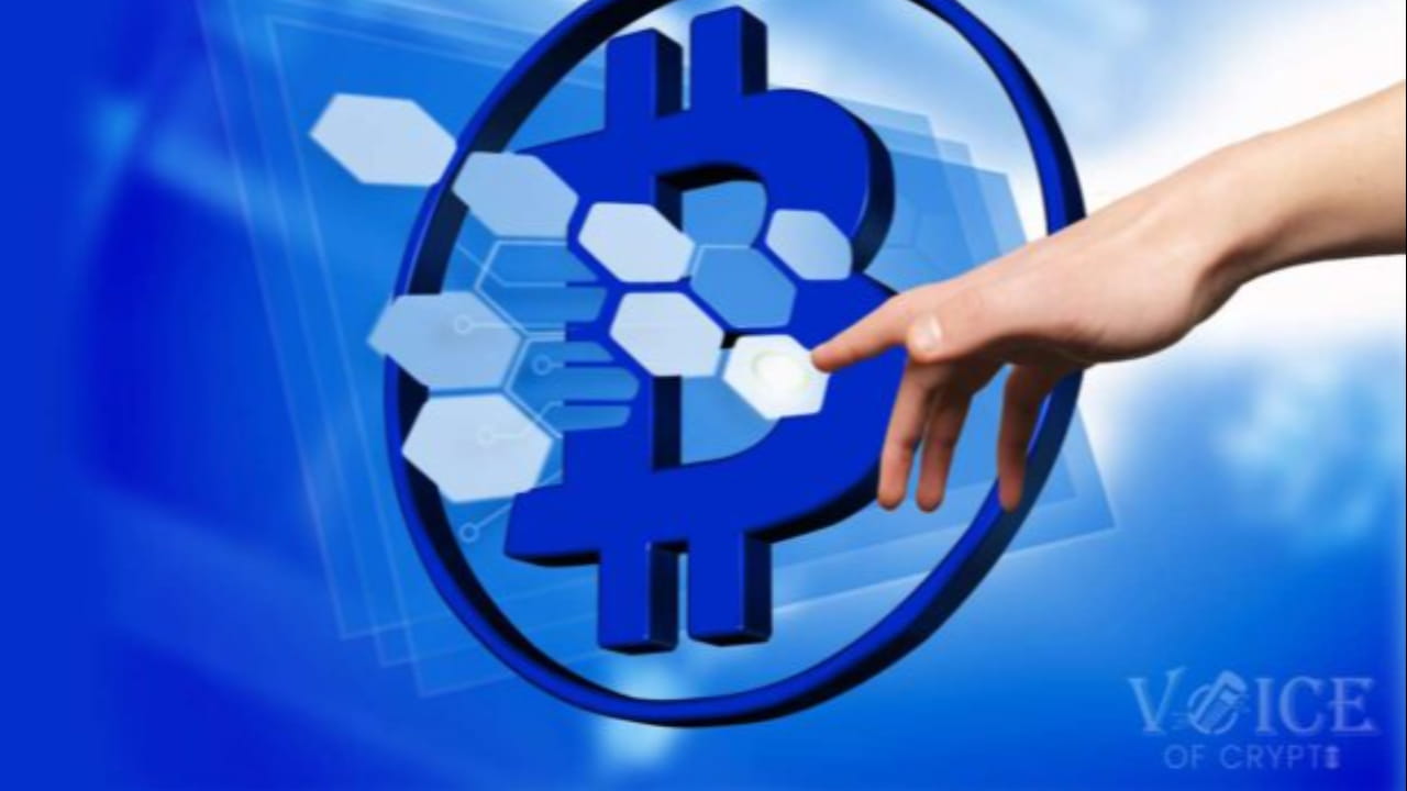 Crypto Analyst Explains Why Altcoin Season is Not Here Yet | Voice Of ...