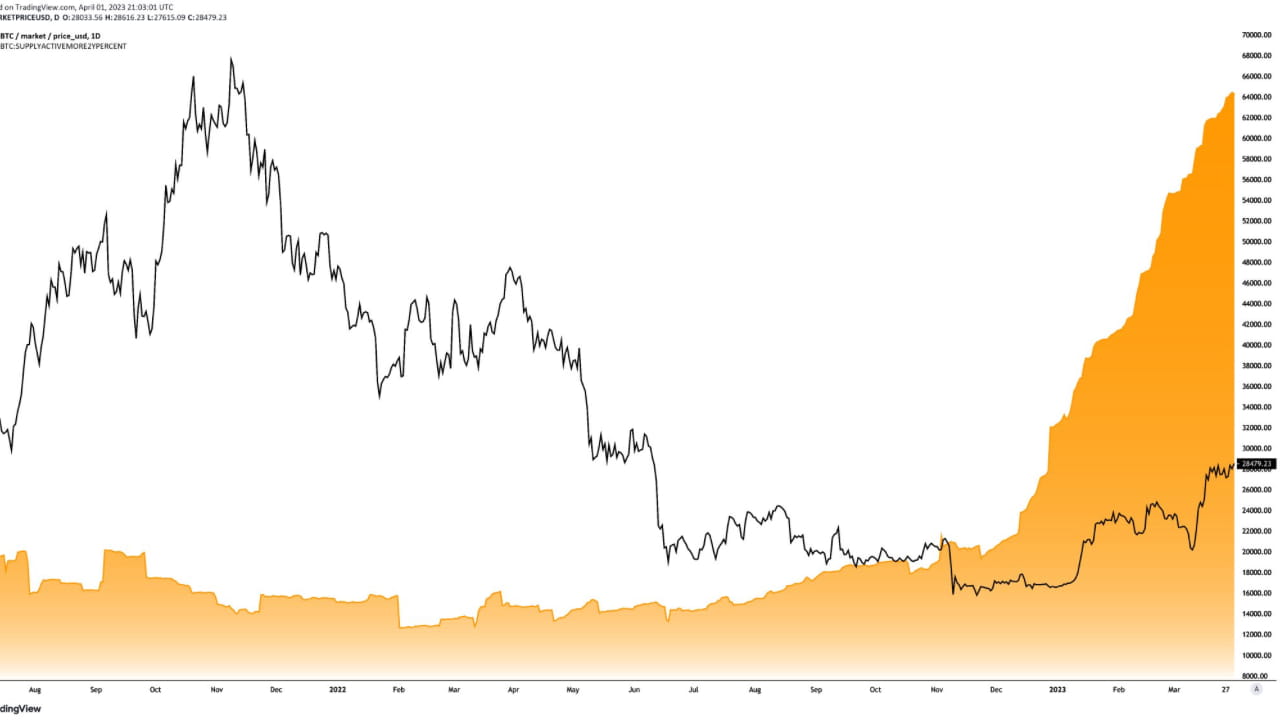 Bitcoin Parabolic Rise: Long-Term Holders Unfazed by Market Volatility ...