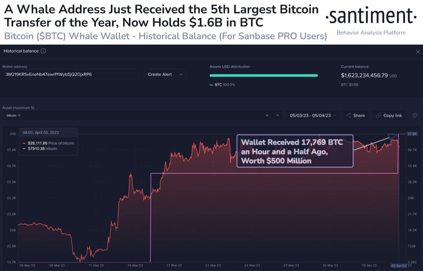 One whale address received 17,769 USD BTC (~500 million USD) | Mad ...