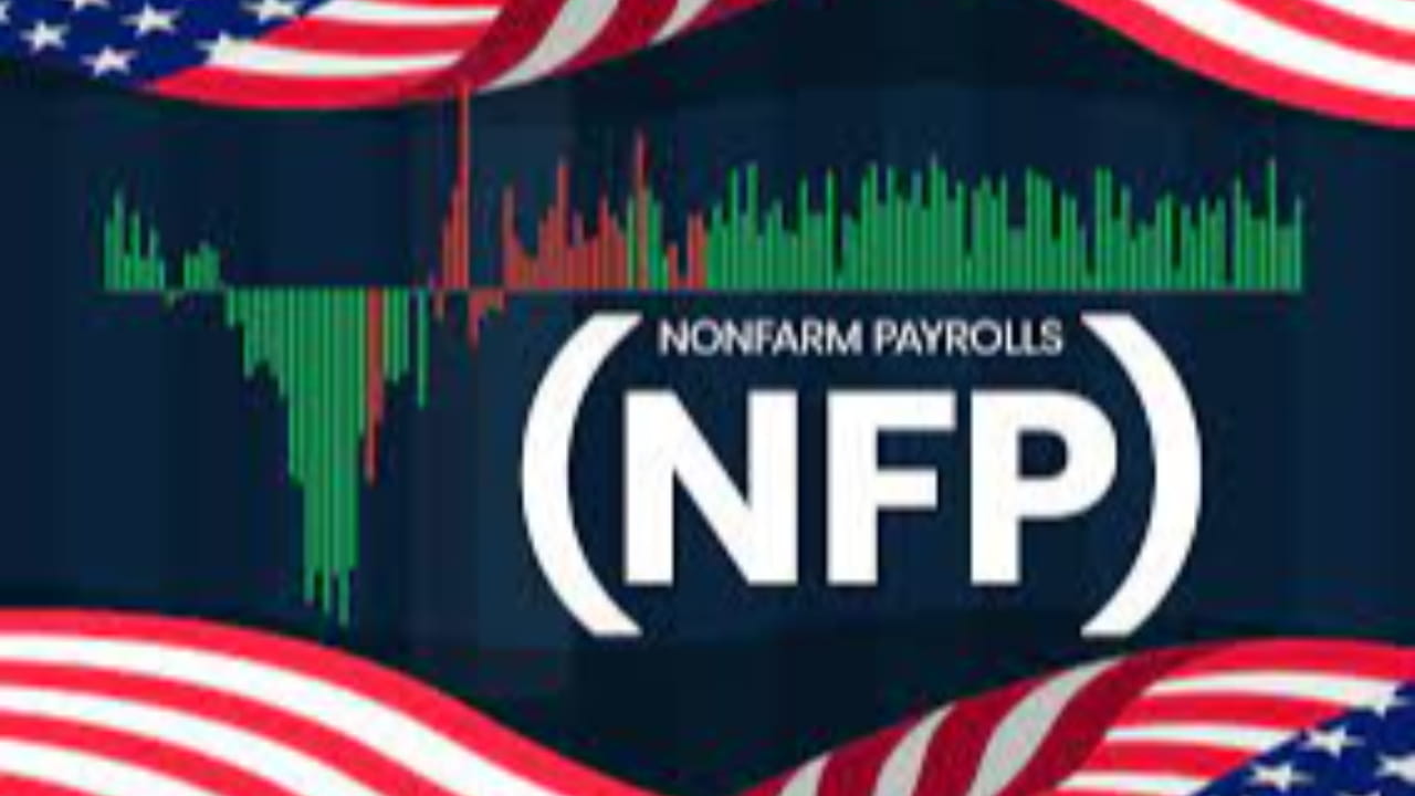 Nfp компания. Nfp что это. Nfp картинки. Nfp что это. Nfp что это.