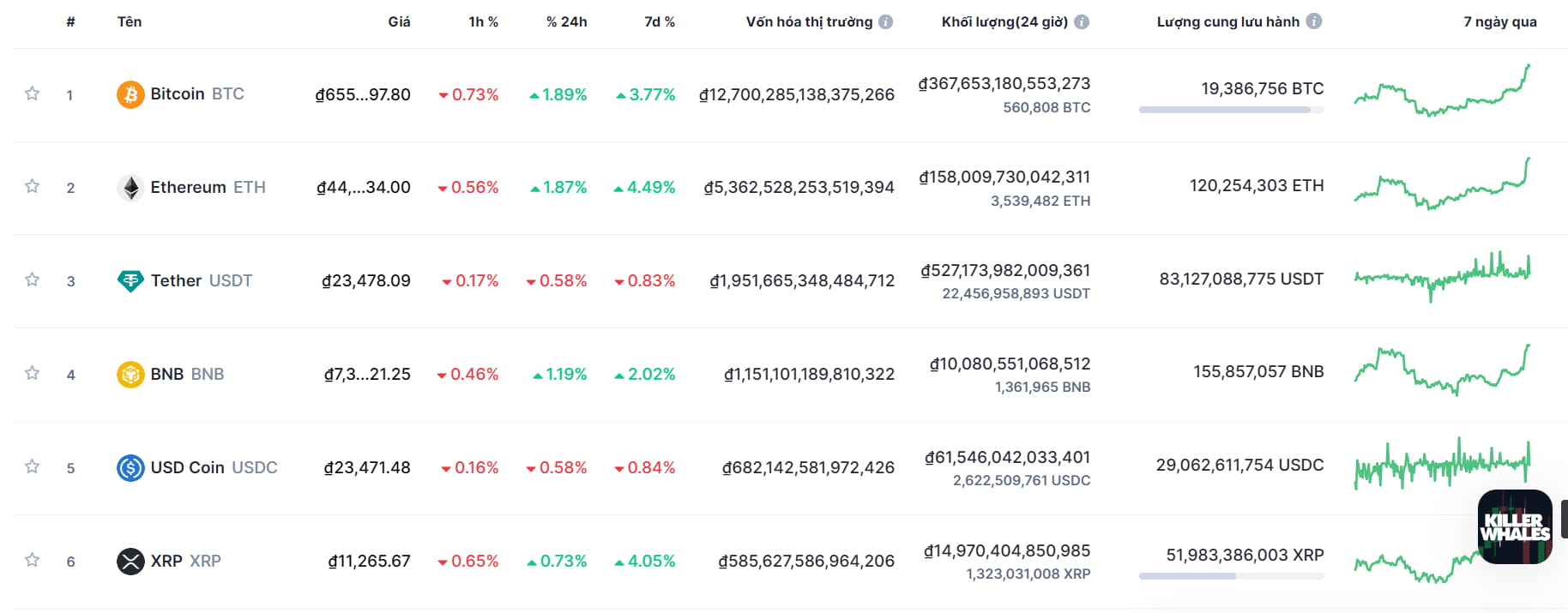 6 暗号通貨のローキャップコインとは何ですか? | Trading Insight_DN － Binance Square