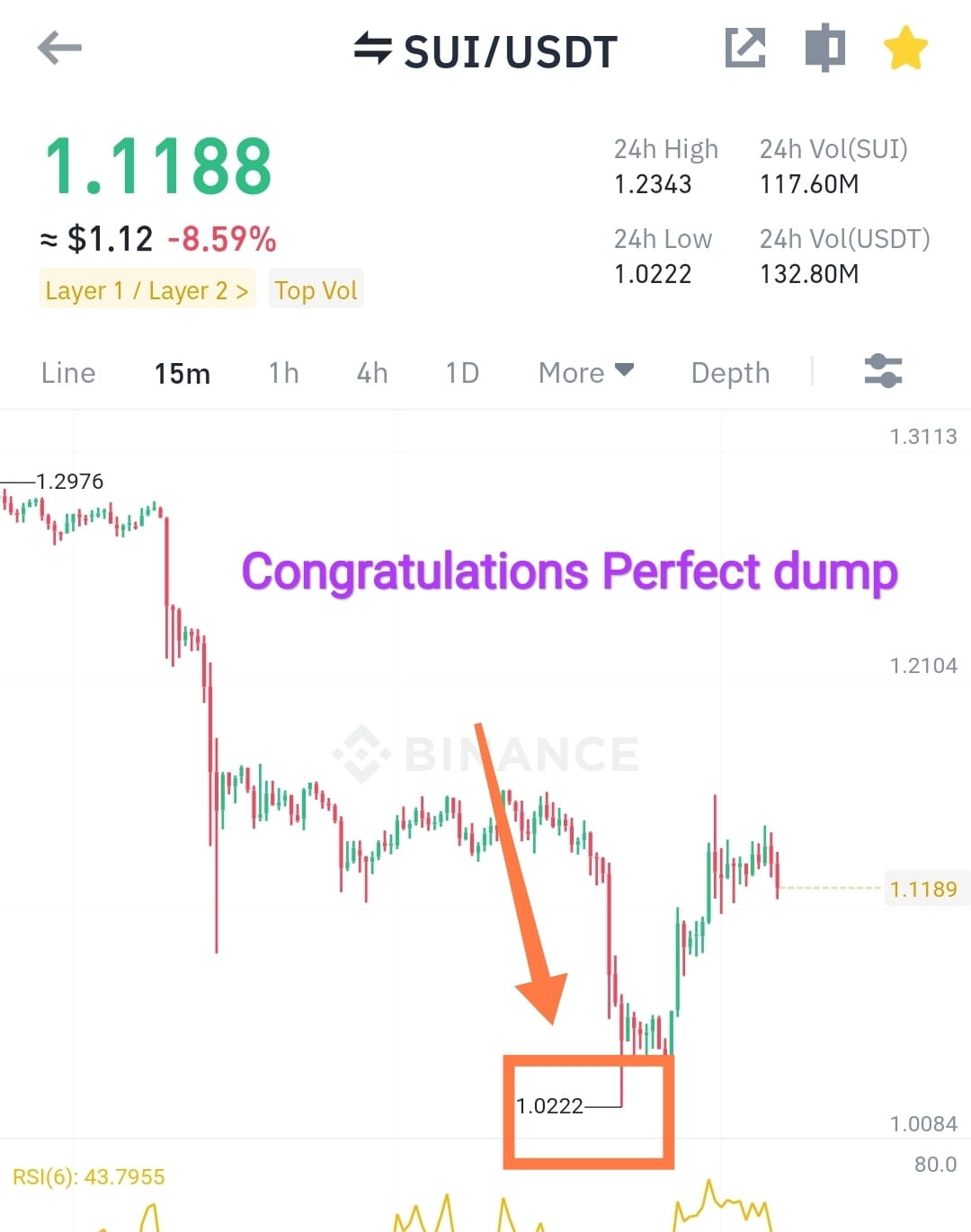 Прогноз монеты sui. Прогноз монеты sui