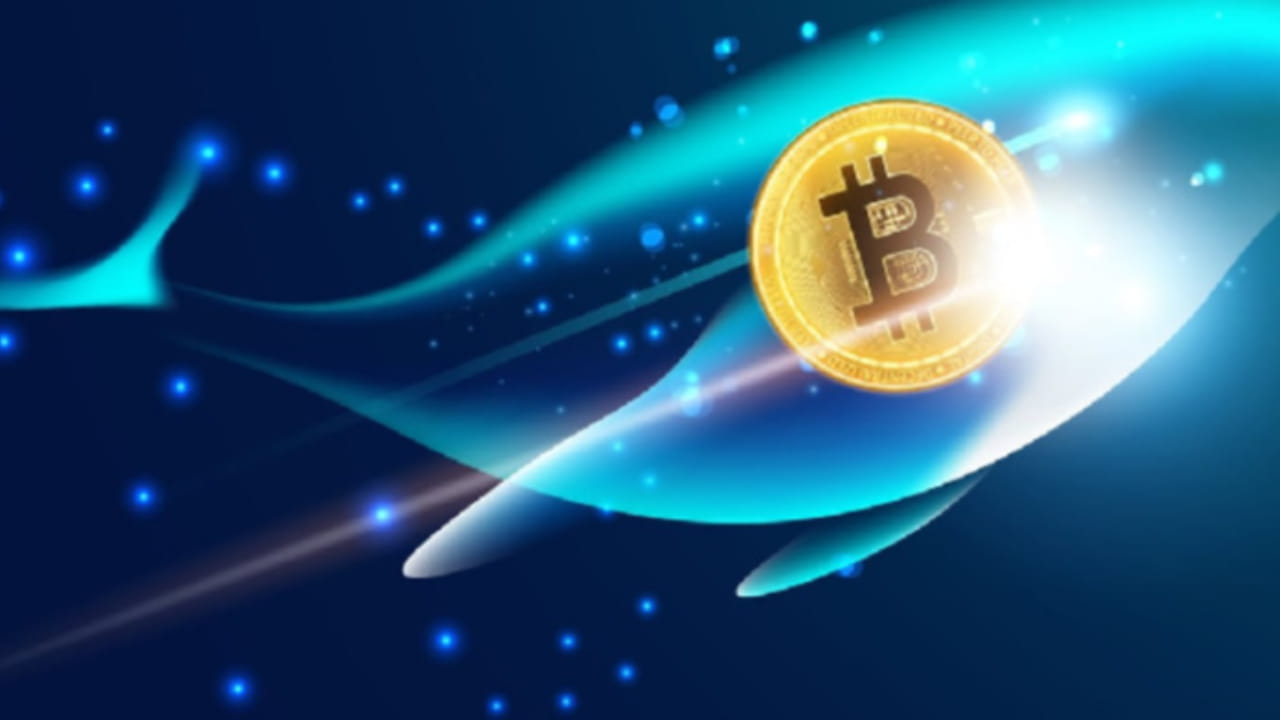 Crypto PM on Binance Feed Sleeping Bitcoin Wallet Awakens Old Whale Binance Feed