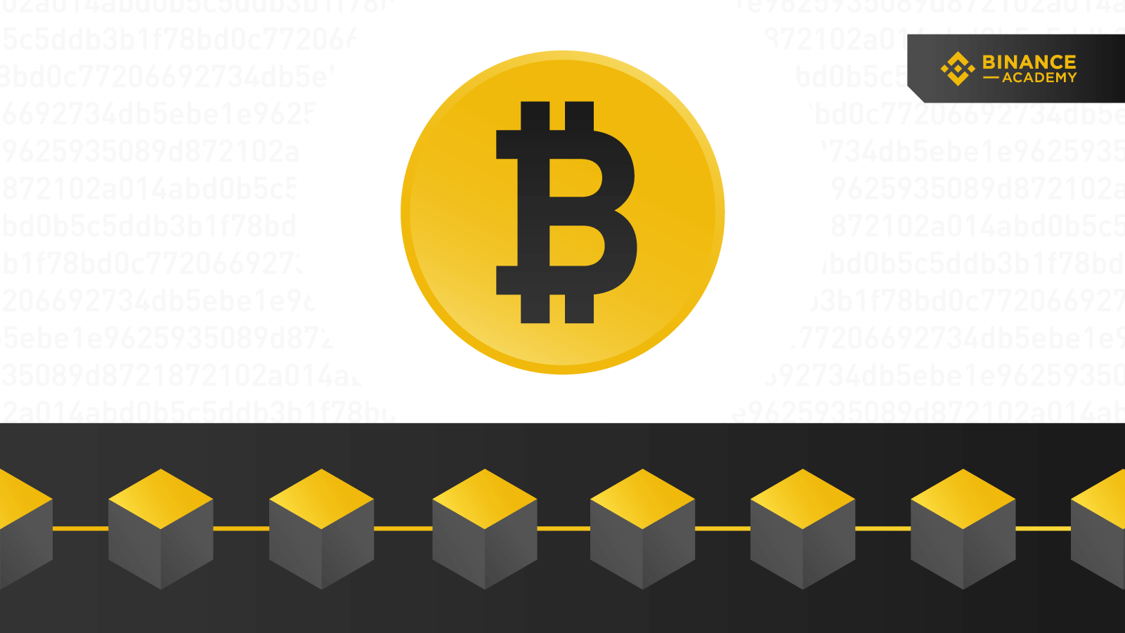 What is the difference between Blockchain and Bitcoin? | Binance Academy on  Binance Square