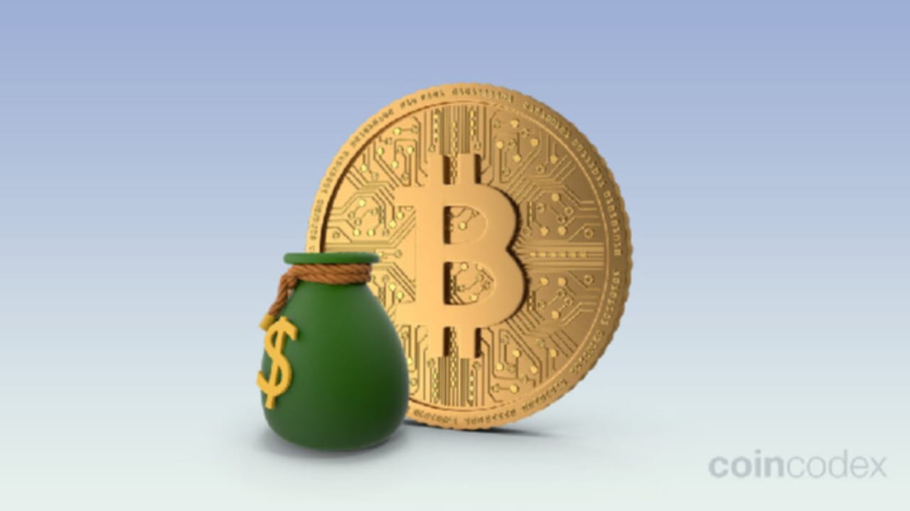 What if I Invest $100 in Bitcoin Today? | TopCryptoNews on Binance Square