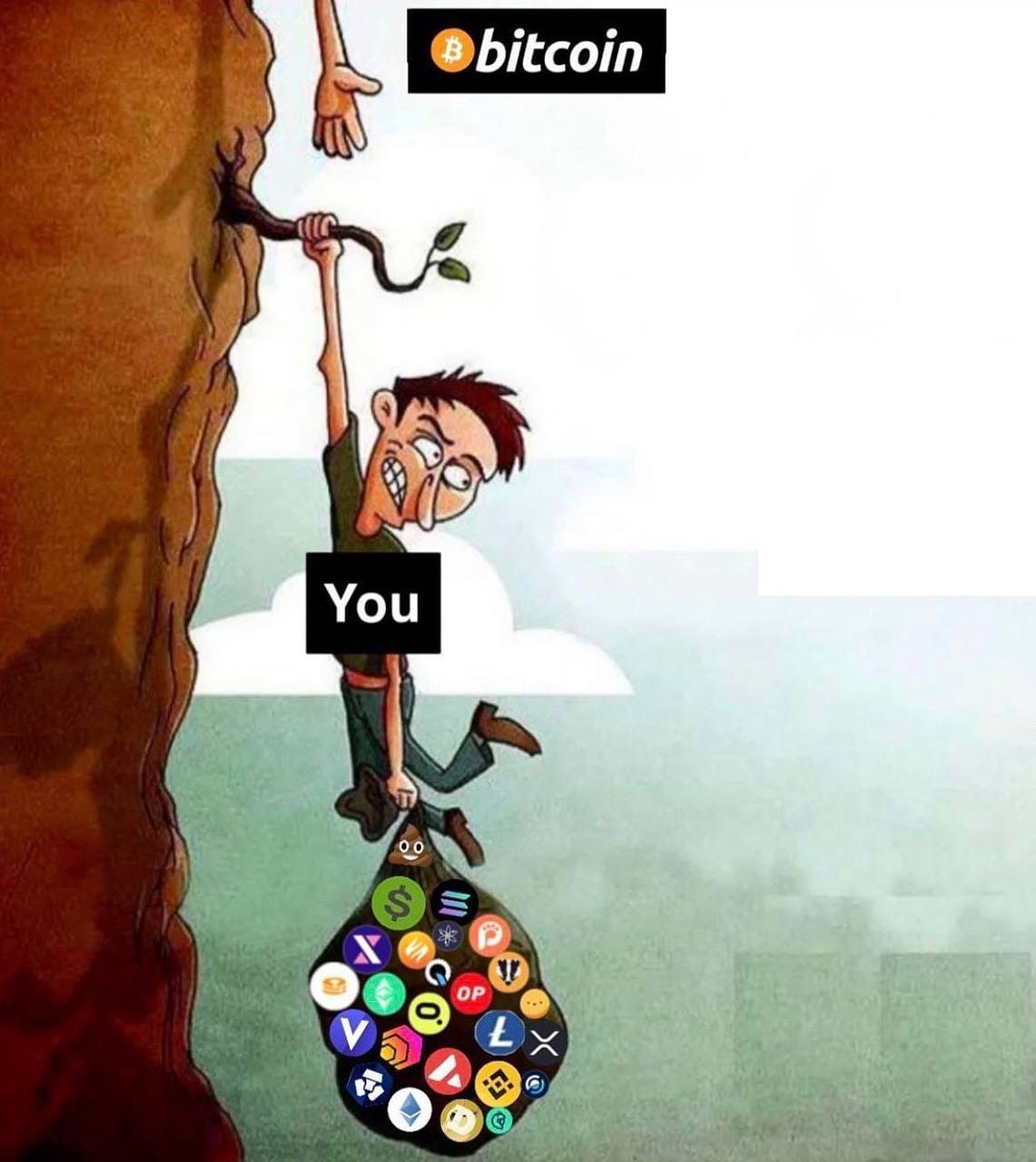 What Are Meme Coins? | E N S I GN T R A D I N G on Binance Square