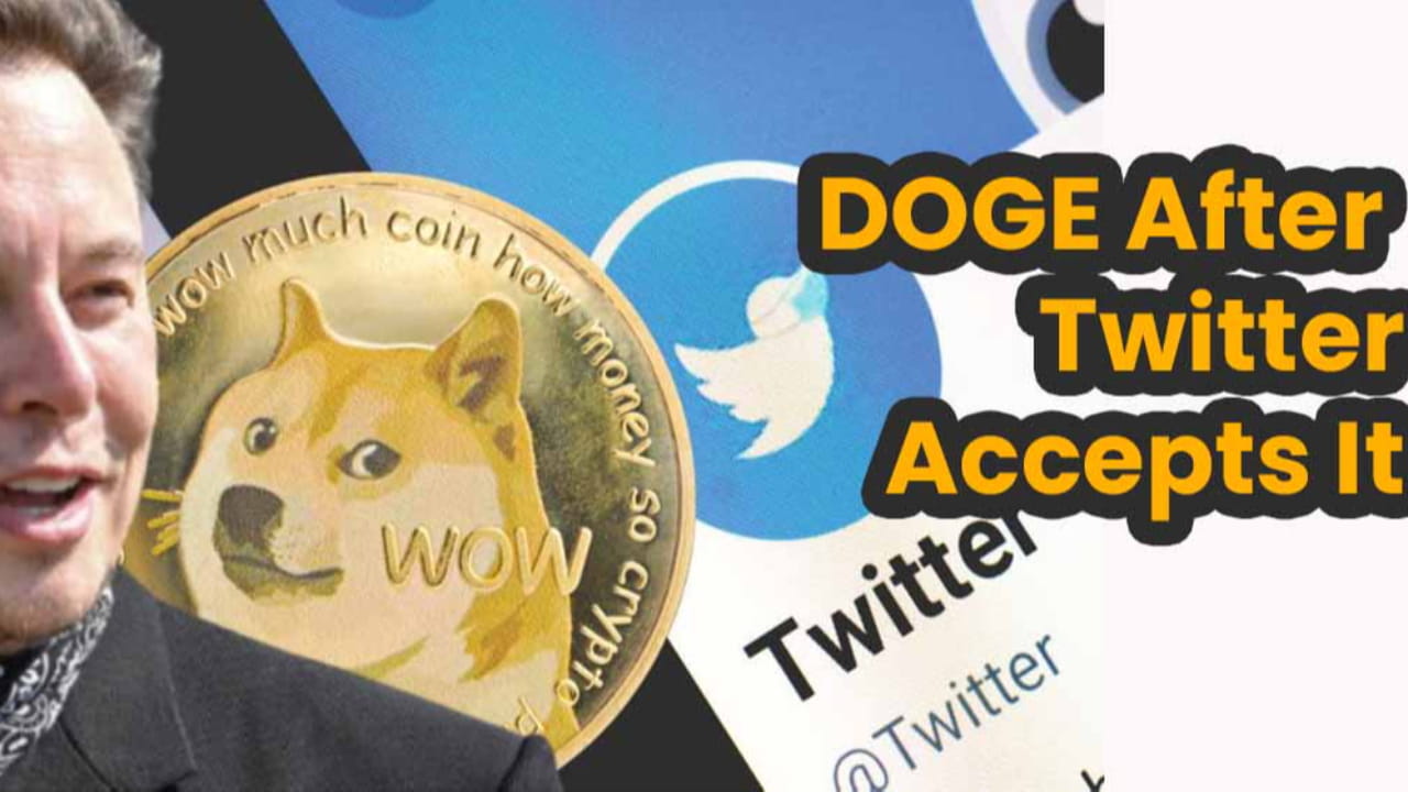 What Will Happen To DOGE If Elon Musk Accepts It On Twitter? | Admiano på  Binance Square