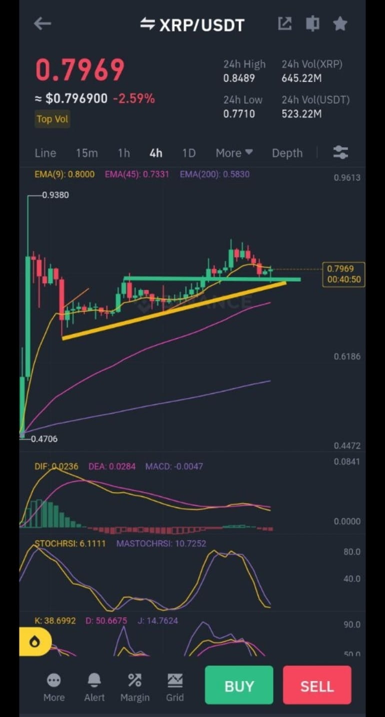 SUPER BULLISH COMING Last Chance To Make Big Profits Crypto xrp-rich-list-staying-on-top-is-harder-then-ever-2025-update-youtube