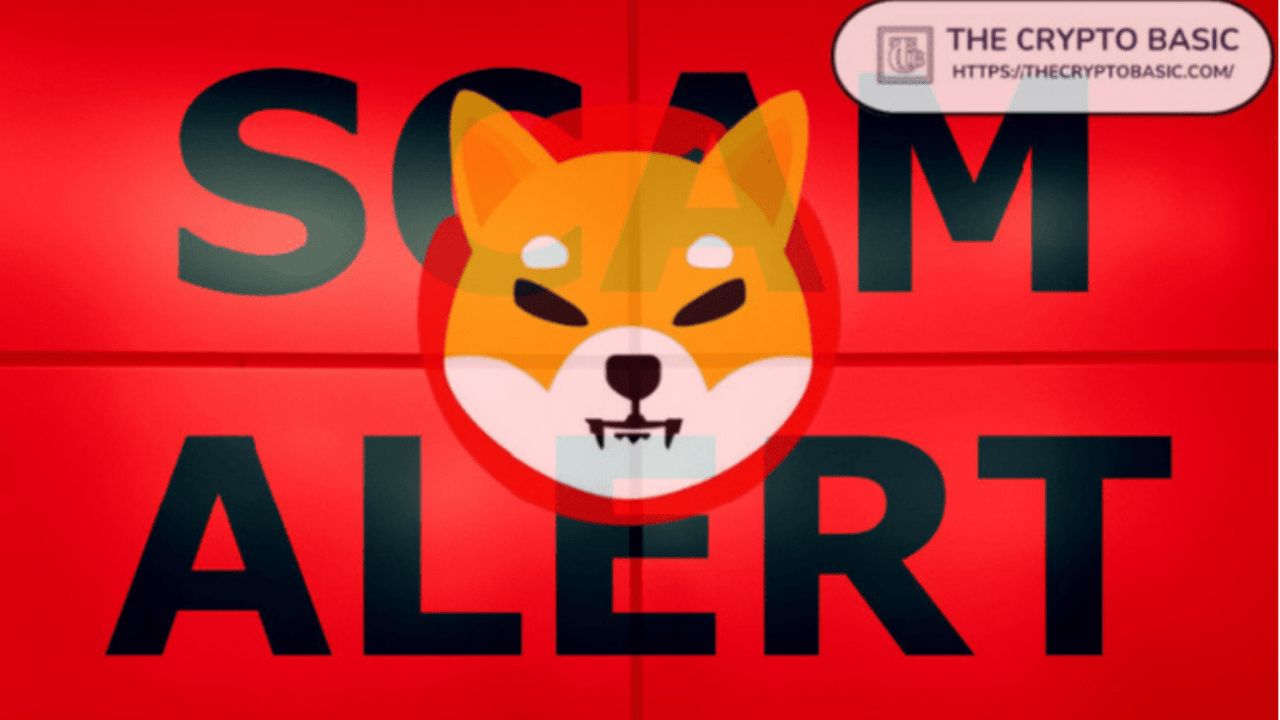 Shiba Inu Lead Calls Out Scammer Announcing Fake Launch of TREAT and SHI |  TopCryptoNews on Binance Square