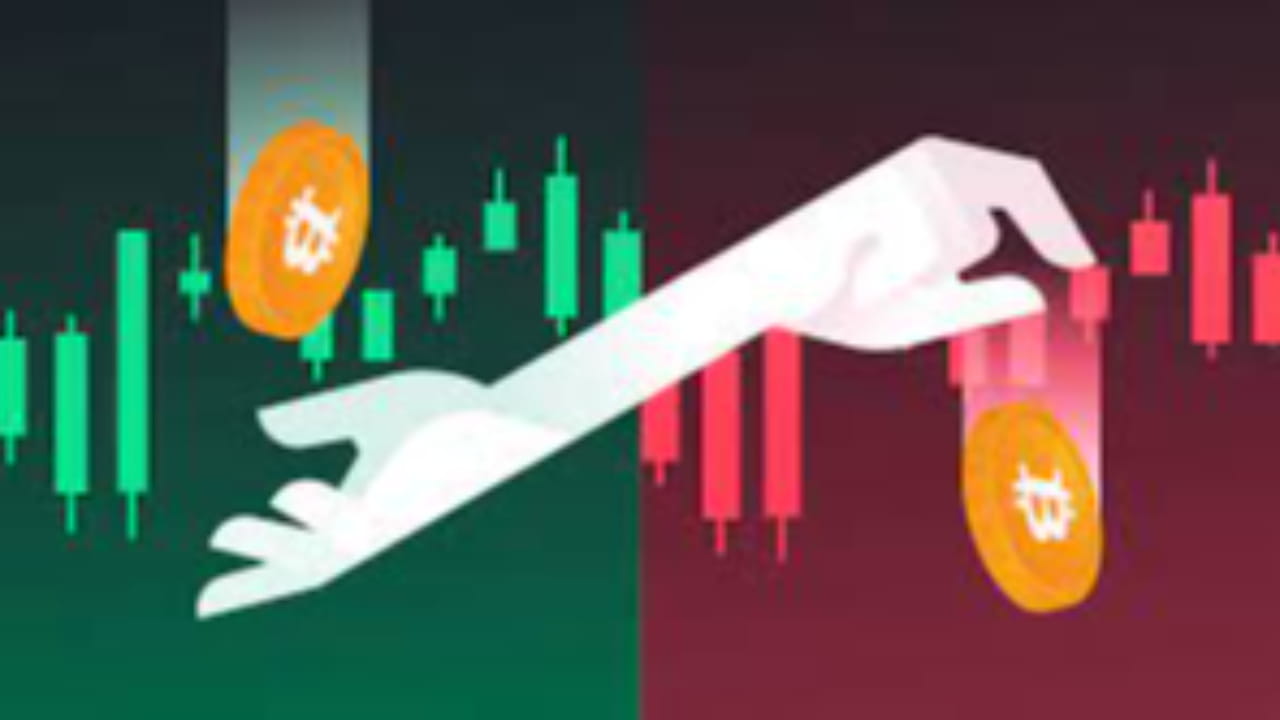 浮点量化的个人资料| 币安广场