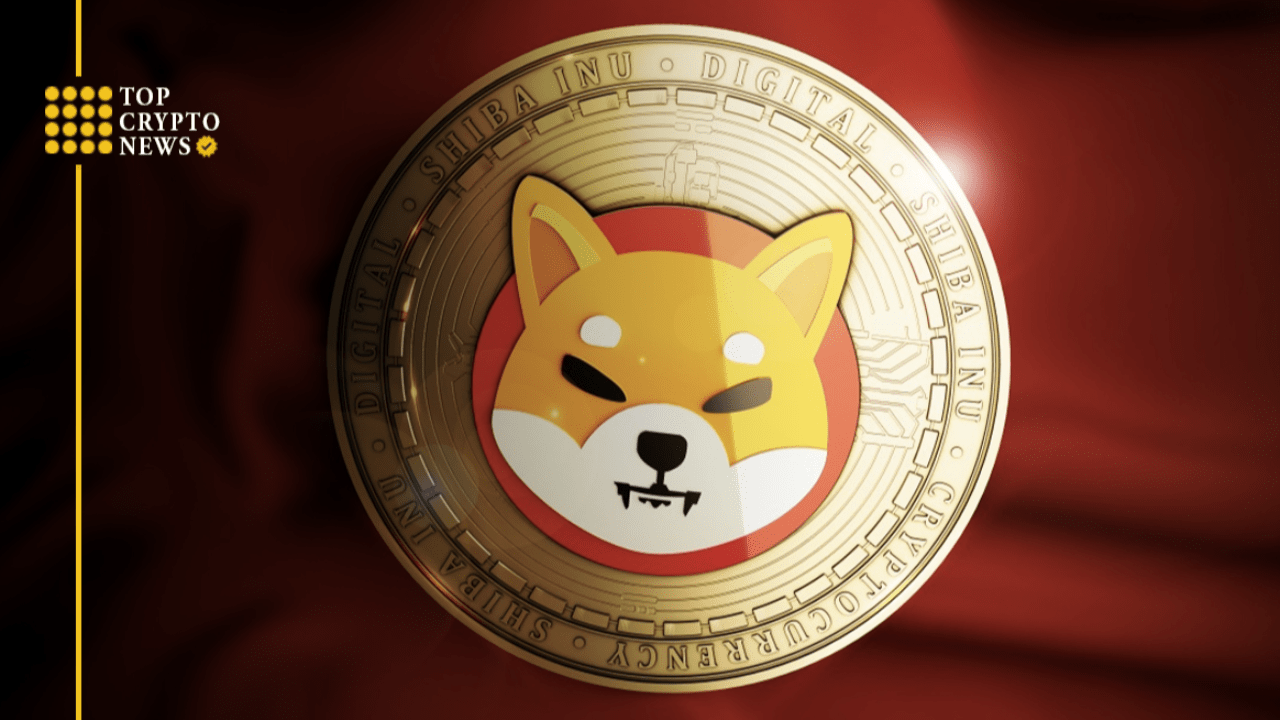 SHIB price forecast for September-October 2023 | TopCryptoNews on Binance  Square