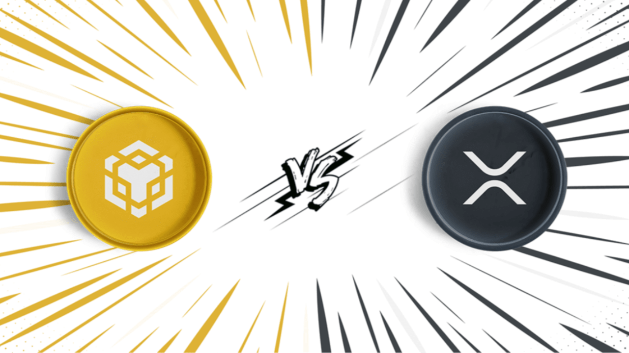 BNB vs XRP: Which Cryptocurrency Has More Potential in 2023 | Coinstages on  Binance Square