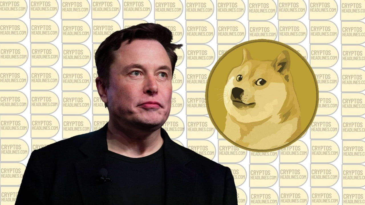 Elon Musk Faces $258 Billion Lawsuit Over Dogecoin Endorsement | CHT  Trading Calls on Binance Square