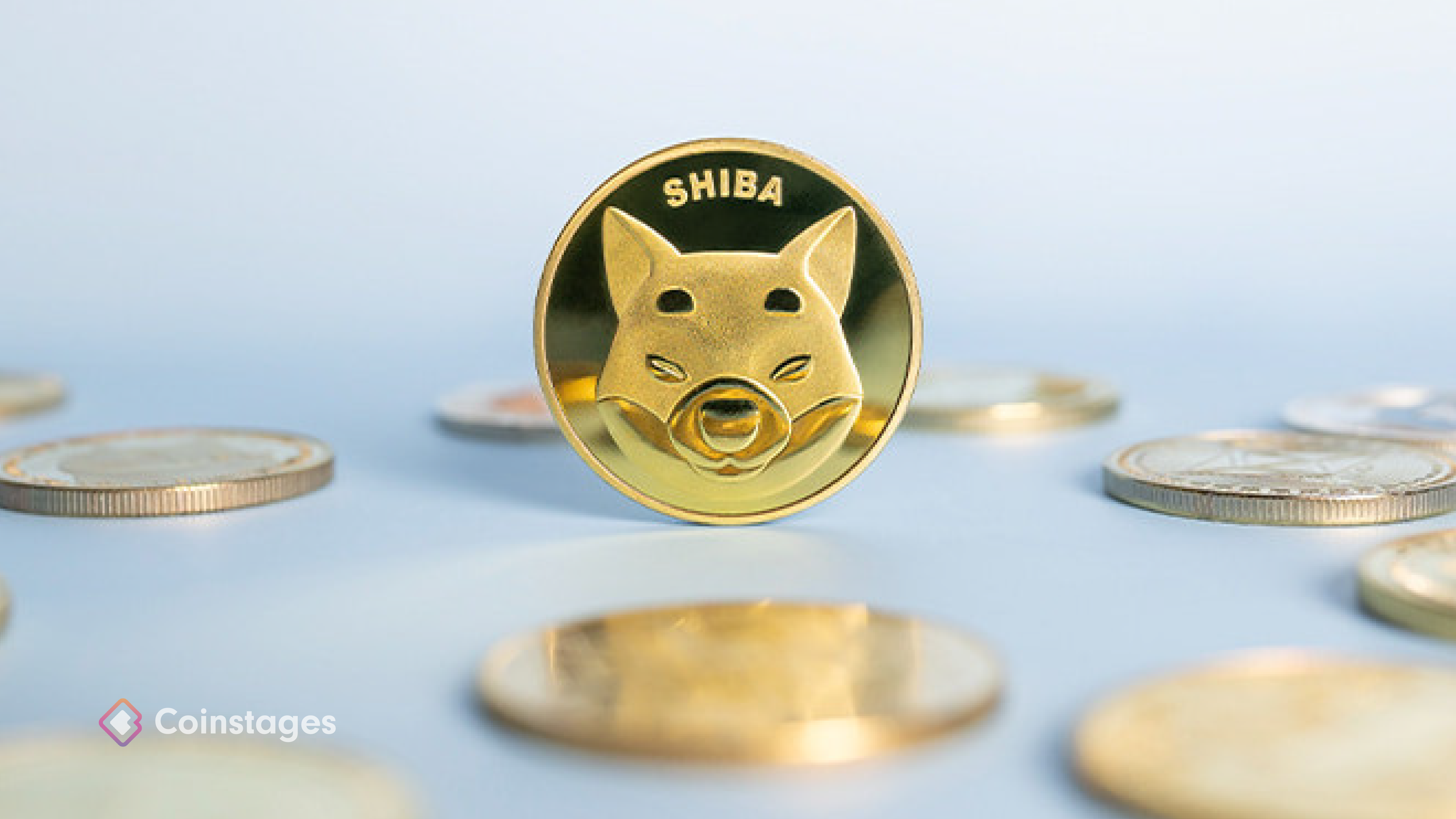 1 000 $ de Shiba Inu de 2021 valent toujours plus de 130 000 $ | Coinstages  sur Binance Square
