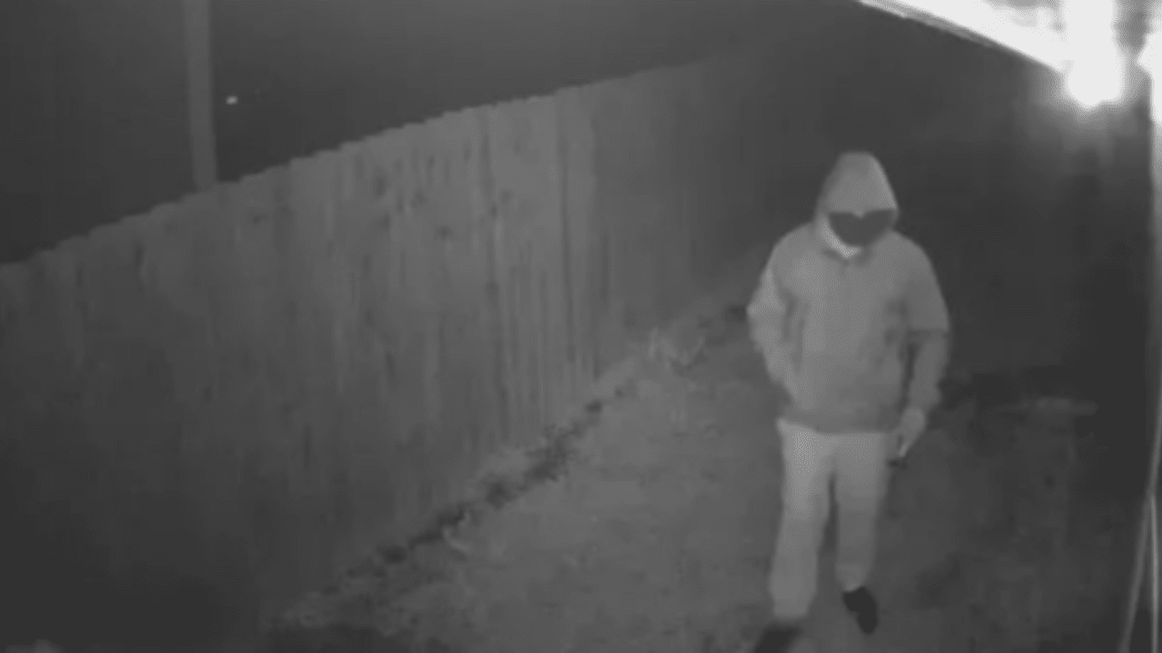 The hacker who stole 50,000 Bitcoins was put to an end! The story of ...