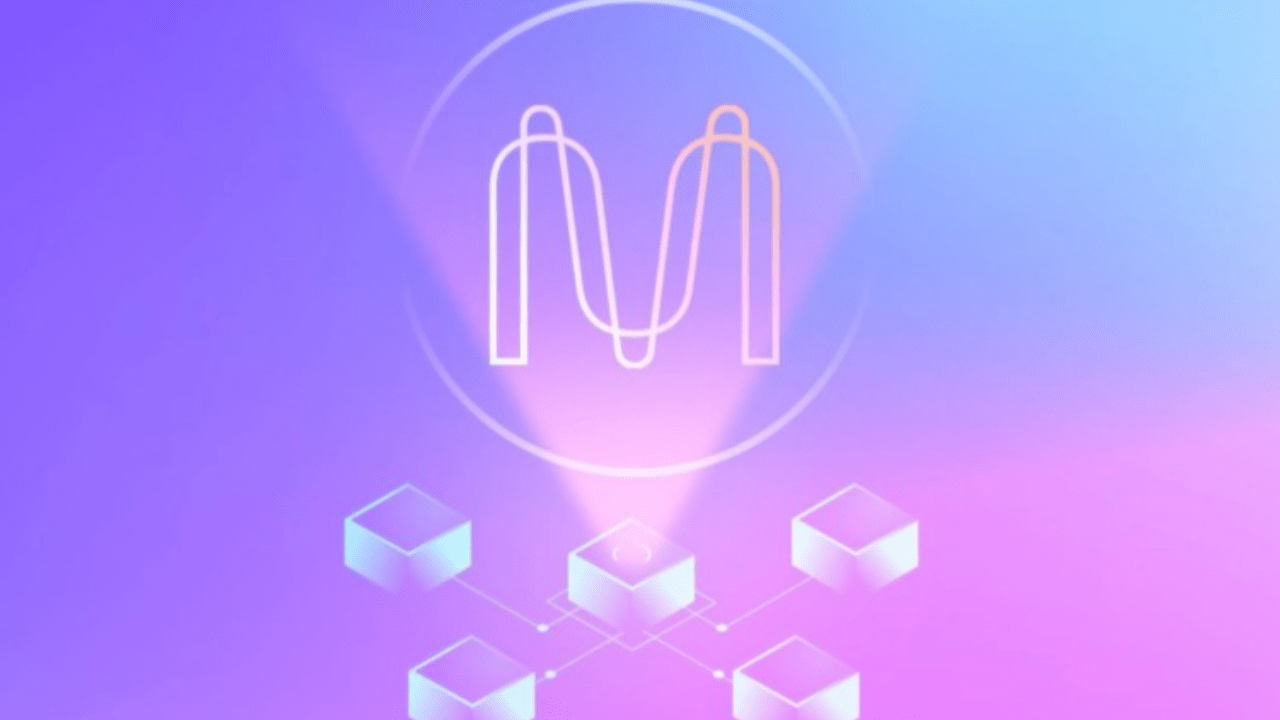 Coin with 100x bull market potential: What is the investment prospect of  MINA? How far away is MINA from the path to $1? In the next ten years, who  will control the