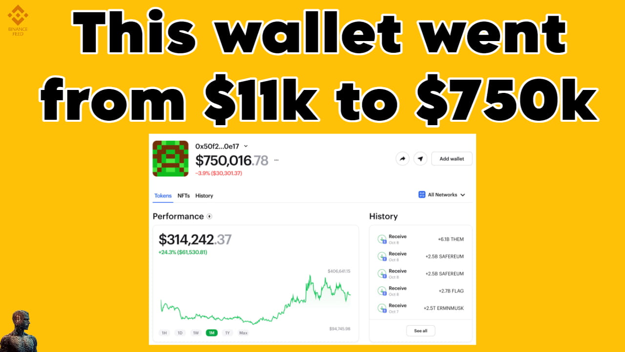 This wallet went from 11k to 750k (+300k last month) Crypto PM on