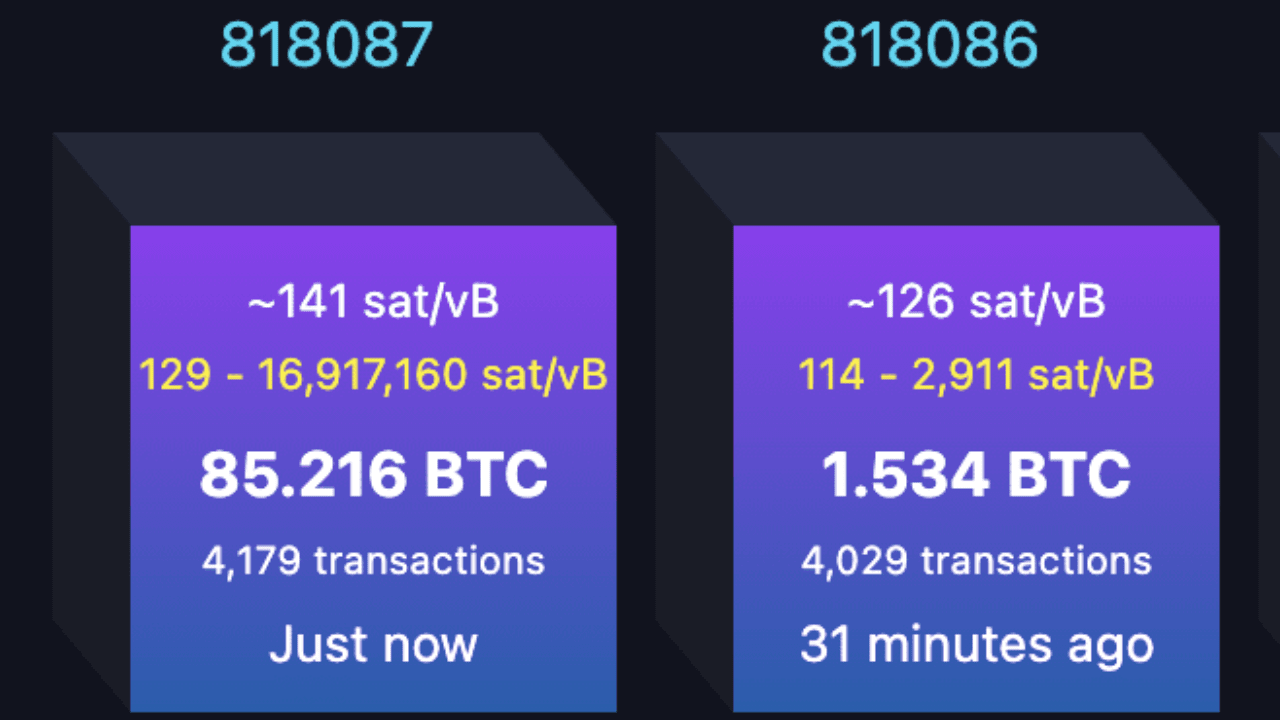 Comunidade de atordoamento de usuários de Bitcoin: paga US$ 3,1 milhões em  taxas de transação por uma única transferência! | Web3Today no Binance  Square