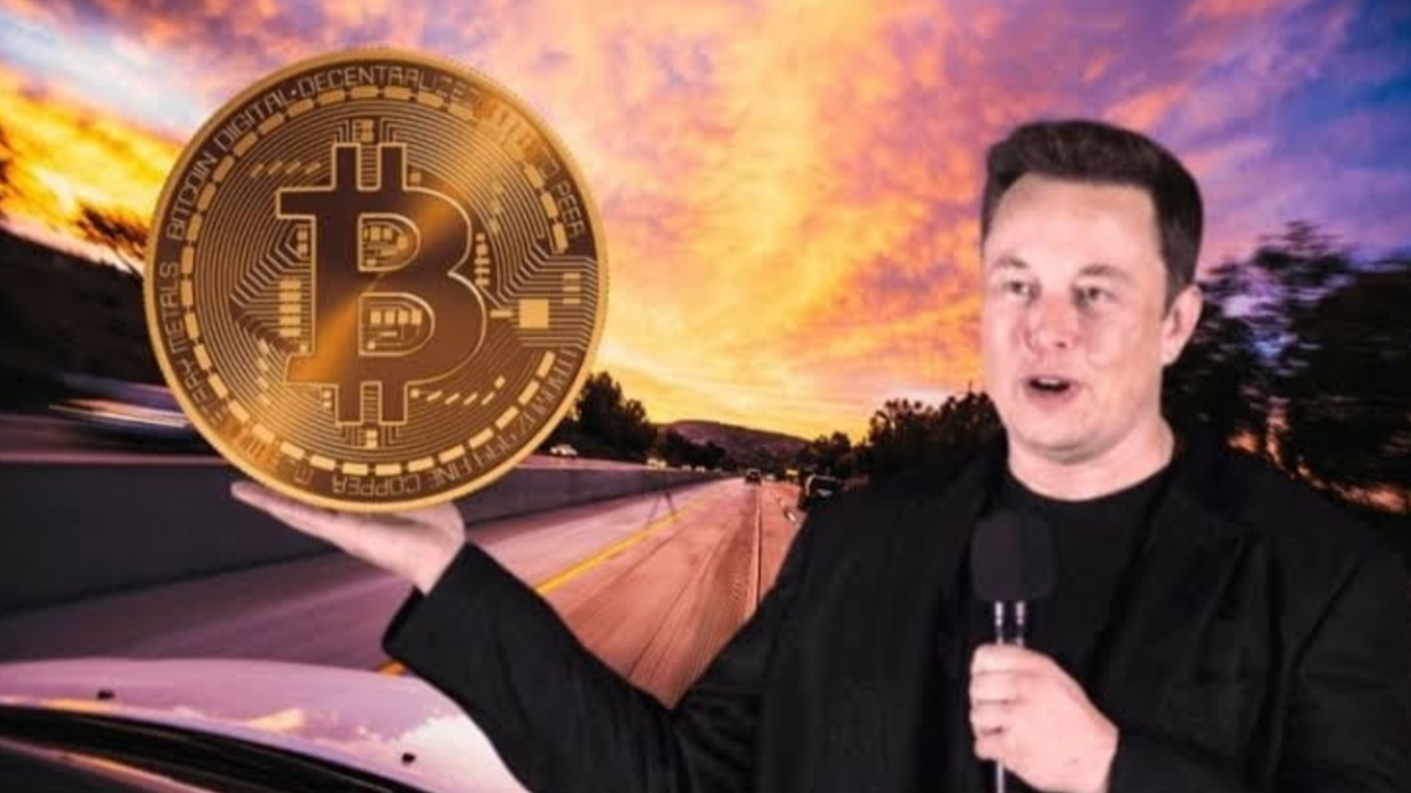 Elon musk bitcoin. илон маск криптовалютаfhn\. маска биткоин. илон маск биткоин арт. илон маск btc.