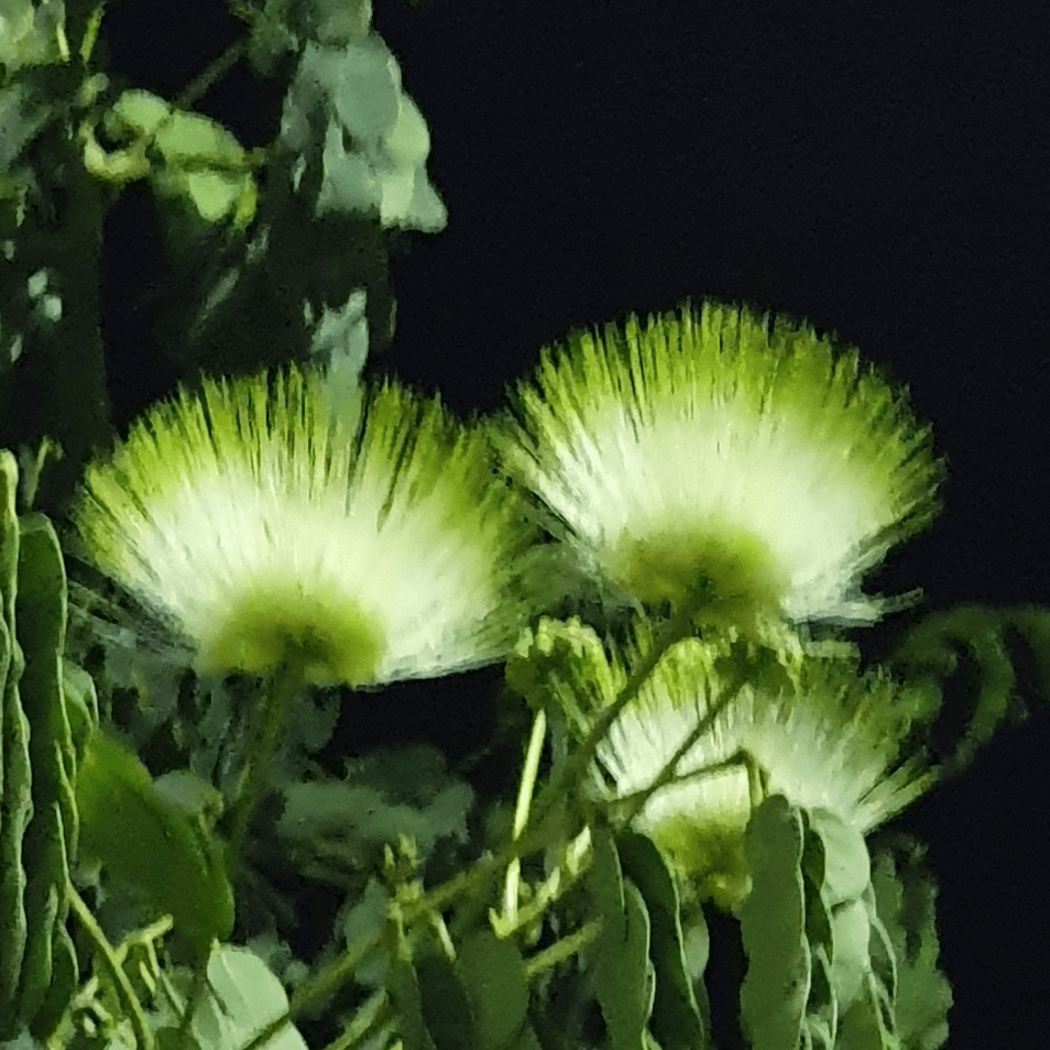 Binance to Suspend Terra Luna Classic Network Transactions for Upgrade |  Binance News on Binance Square