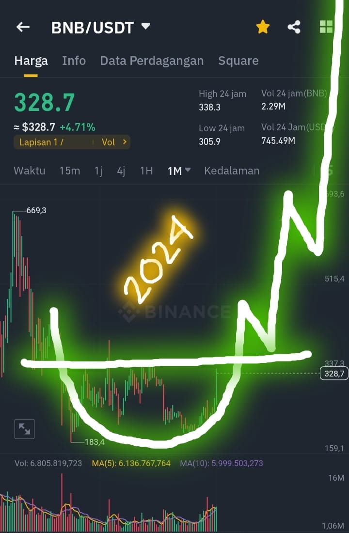 BNB 🫶 bnb is still the best of solana,bnb 2024 will be w