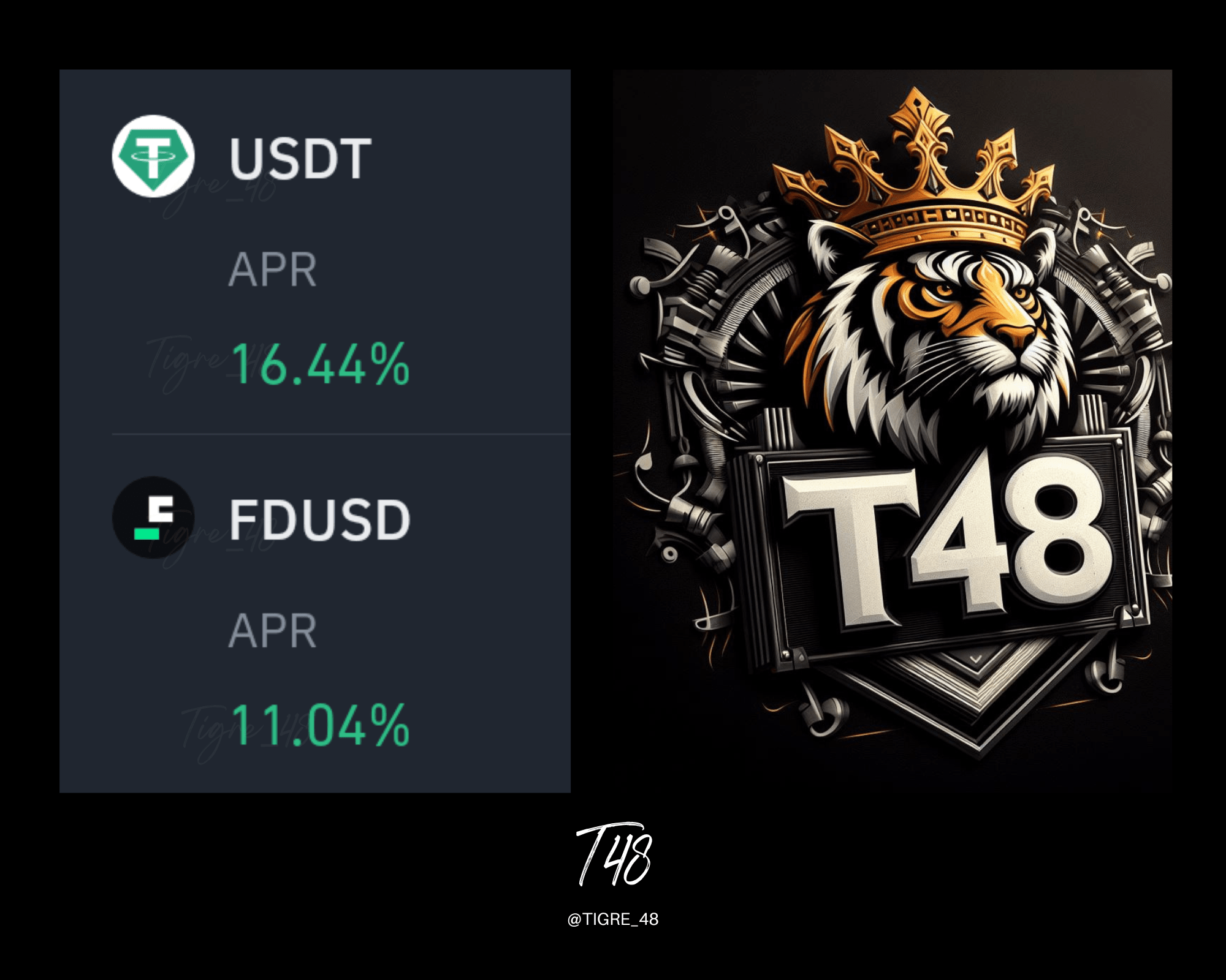 APY FDUSD And USDT Giving The Best Performance TIGRE 48 On apy-fdusd-and-usdt-giving-the-best-performance-tigre-48-on