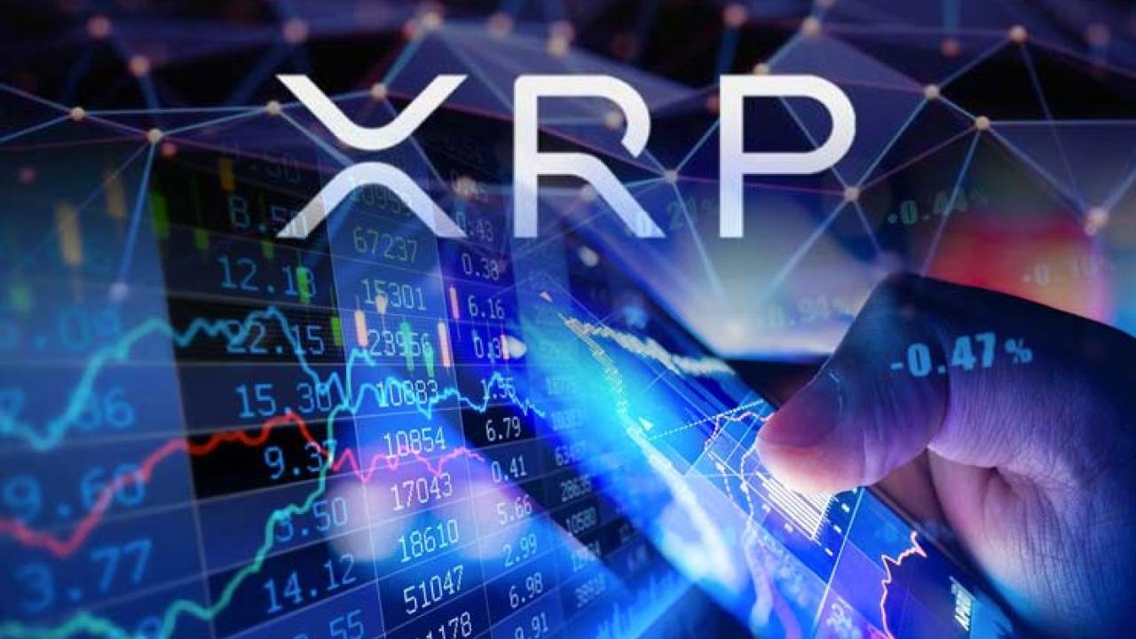 Desribing Ripple Leading Crypto Expert: “XRP Will Be the Leader of the Next | Crypto De ...