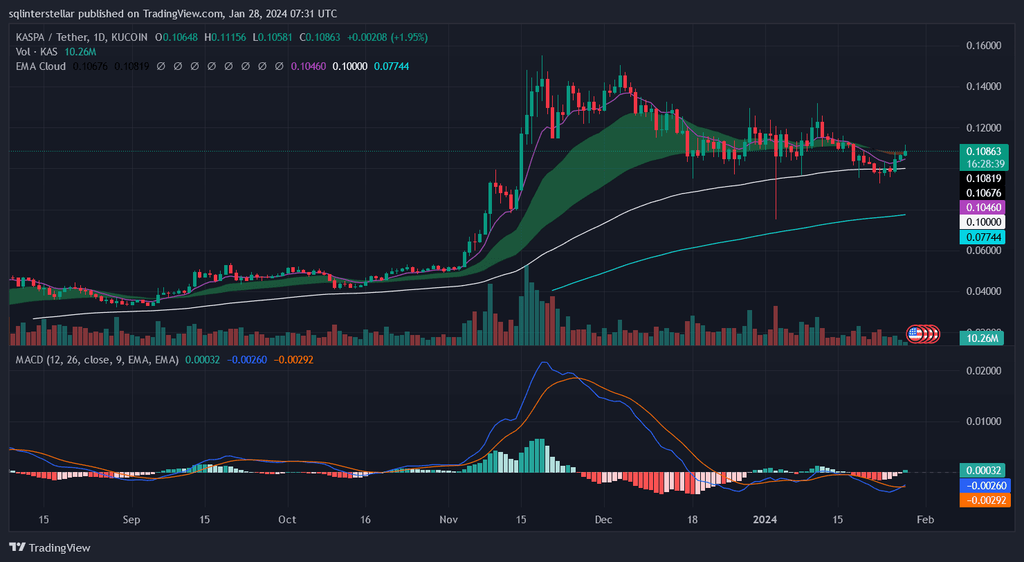 3 Cryptocurrencies for February 2024! | TopCryptoNews en Binance Square